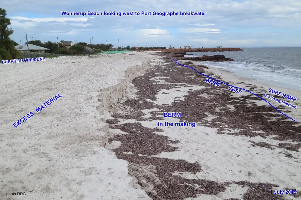 Wonnerup Beach looking west to the Port Geographe breakwater, annotated to show excess wrack material